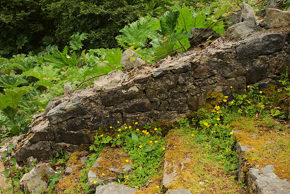 Stairway and Wall in Disrepair