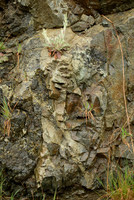 Rock in a Roadcut II