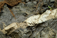 Rock in a Roadcut III