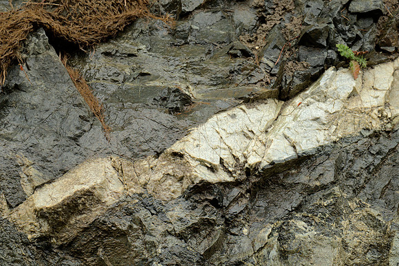 Rock in a Roadcut III