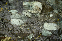Breccia