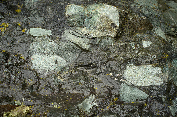 Breccia