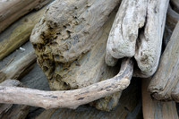 Driftwood Eros