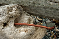 Driftwood With Suspicious Paraphernalia