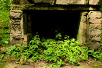 A Fireplace as Planter