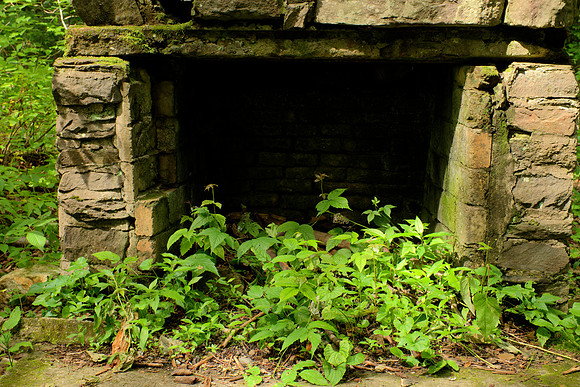 A Fireplace as Planter
