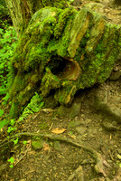 Masonry Fragment