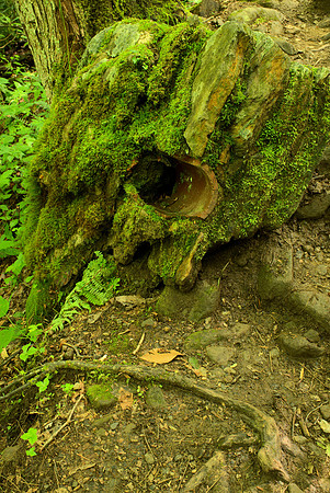 Masonry Fragment