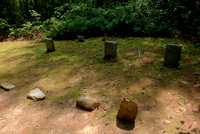 Abandoned Cemetery