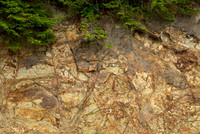 Rocks, Great Smoky Mountains