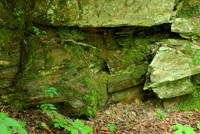 Rock Wall