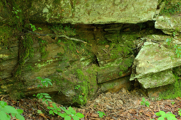 Rock Wall
