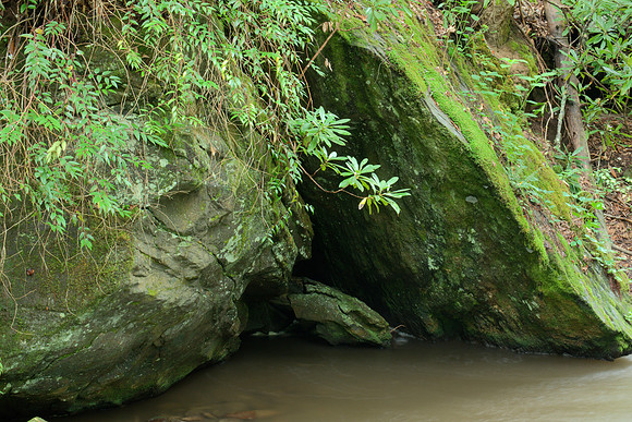 Riverside Cavity