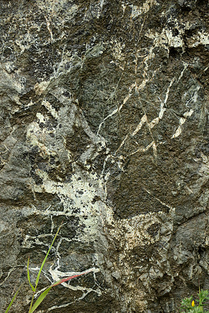 Rock in a Roadcut I