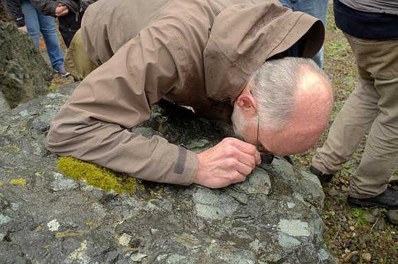 Breccia and Observer