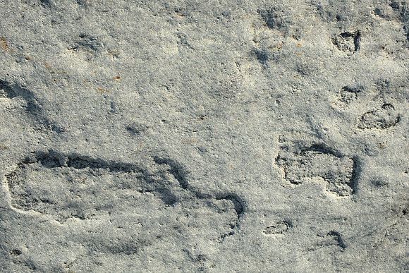 Inscriptions