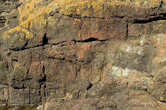 Cracks and Lichens