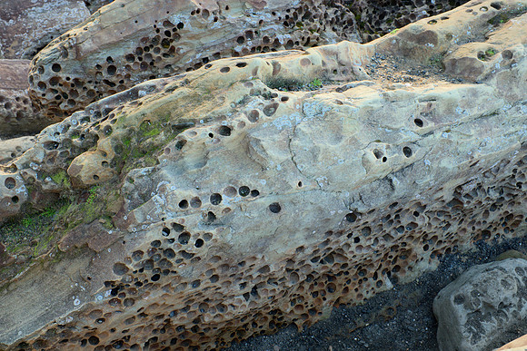 Pock-Marked Sandstone