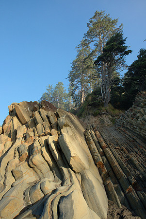 Sandstone and Tree