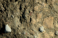 Melange Detail