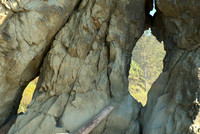 Windows in a Seastack