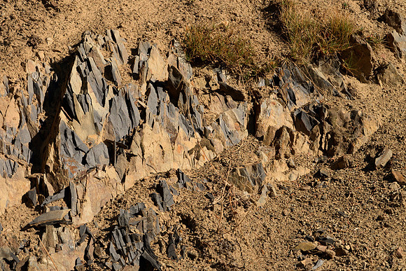 Slate Outcrop I