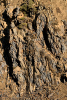 Slate Outcrop III