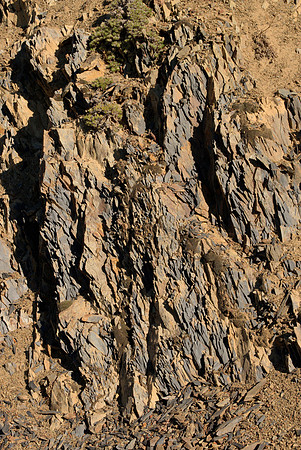 Slate Outcrop III