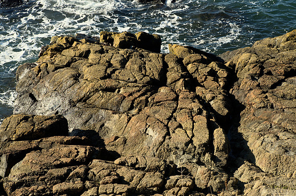 Dunite Shore, Fidalgo Island