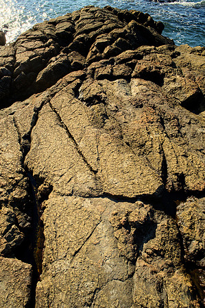 Dunite Shore, Fidalgo Island