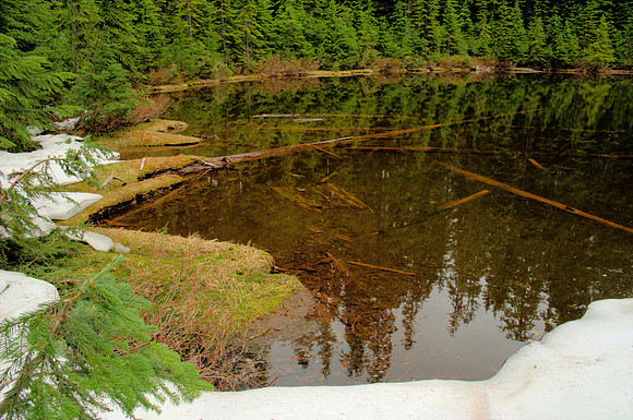 Crater of Cinder Cone, S Flank of Mt. Baker