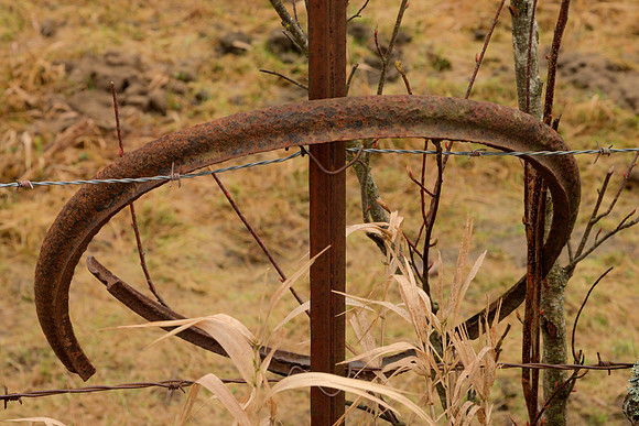 Rust