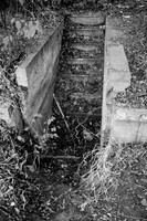 Cellar Stairs