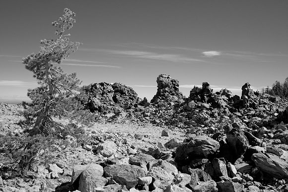 Obsidian Field in Black and White