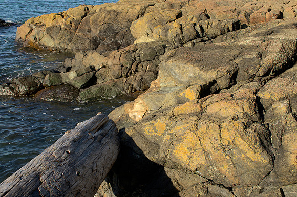 Driftwood and Dunite, Fidalgo Island