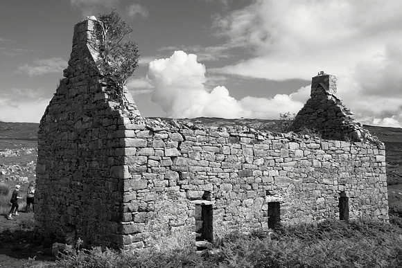 Abandoned House