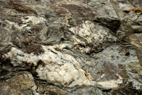 Quartz Vein in Phyllite
