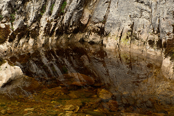 A Pool in Limestone