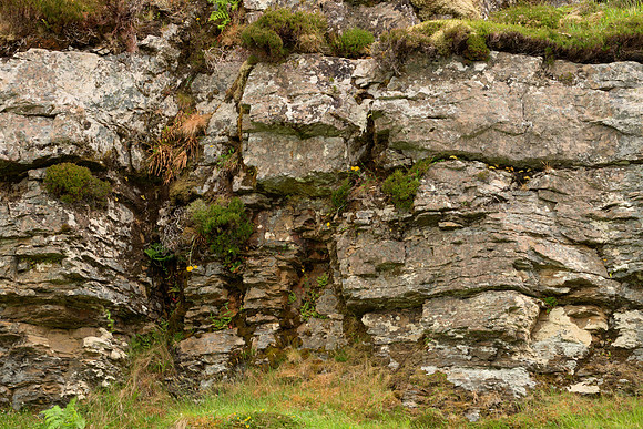 Weathered Sandstone I