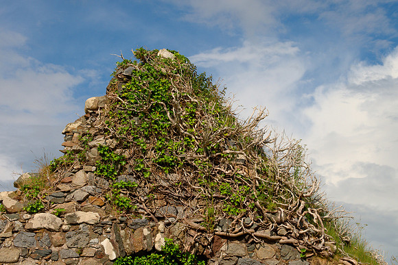Wall of Abandoned Church