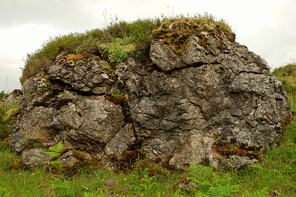 Weathered Limestone