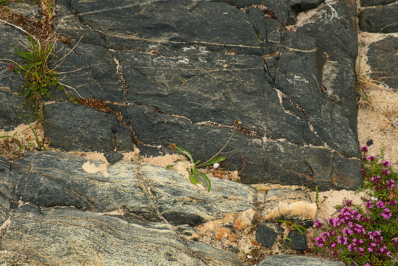 Lewisian Gneiss and Intrusive Material I