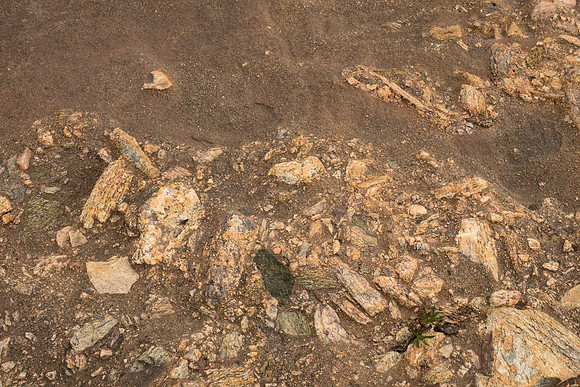 Breccia