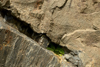 Interface