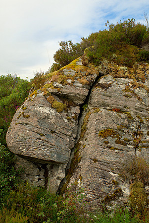 Lewisian Gneiss