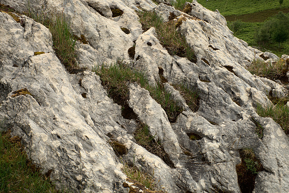 Karstic Limestone