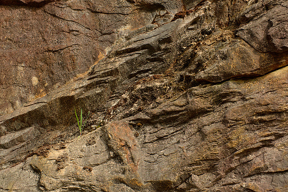 Sandstone and Grass