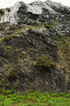 Basalt Wall