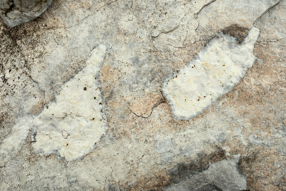 Marble Detail II