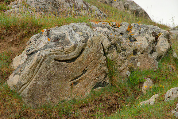 Twisted Gneiss